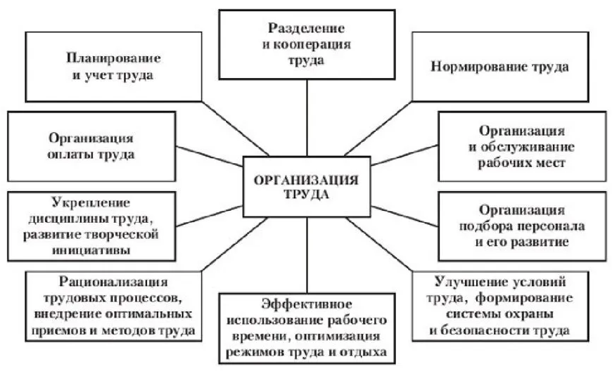 Организация труда схема